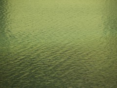 Reflections #1